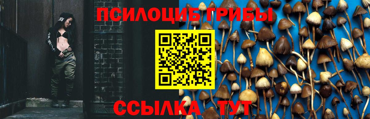 Галлюциногенные грибы мицелий Тобольск